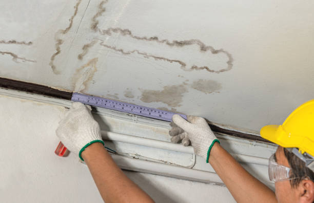 Reliable Water Damage contractor in Linden, NJ by Water Damage Irwin